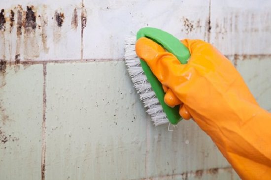 homemade mold remover 5