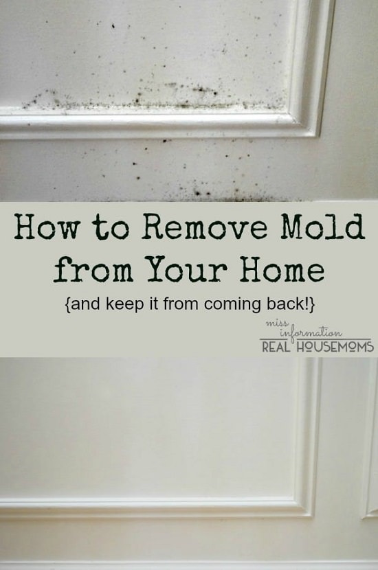 homemade mold remover 13