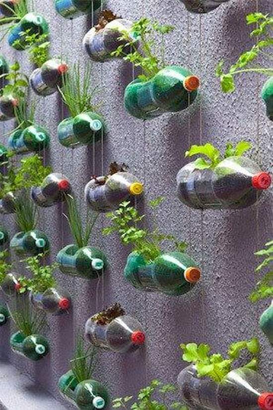 Plastic Bottle Vertical Garden