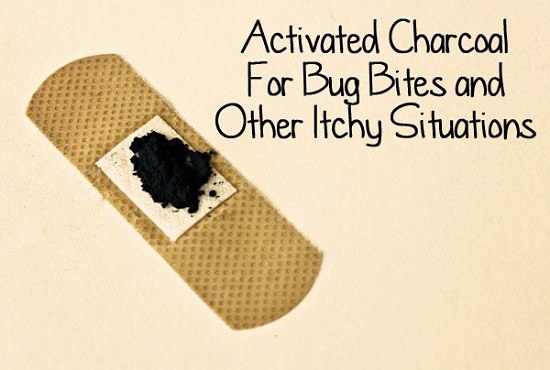 Activated Charcoal for Bug Bites