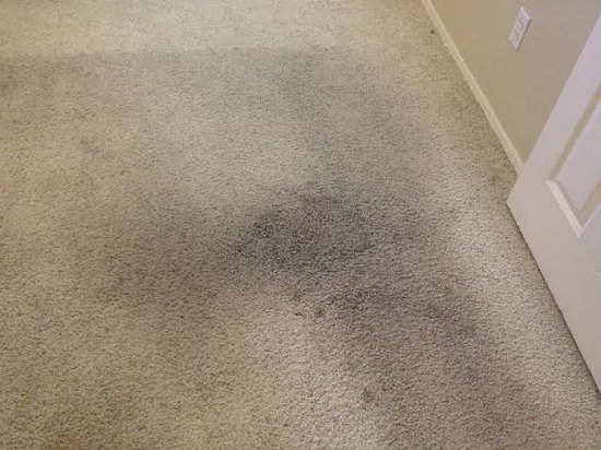 Homemade Carpet Cleaning Solution With Hydrogen Peroxide