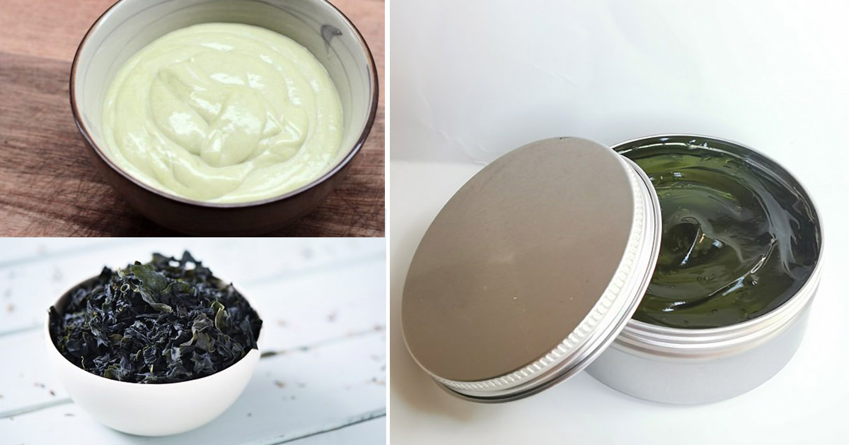 Diy Easy Homemade Seaweed Face Cream Benefits For Cradiori