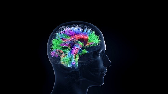 Improves Brain Activity