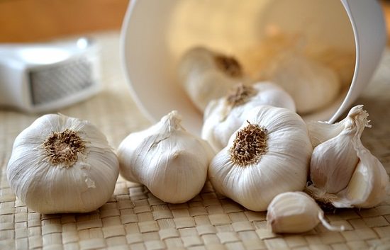 Garlic Salve For Pneumonia2