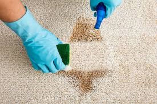 Essential Oils For Carpet Stain Easy Carpet Cleaning Recipes Cradiori