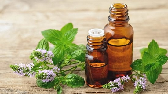 Essential Oils for A Tummy Ache2