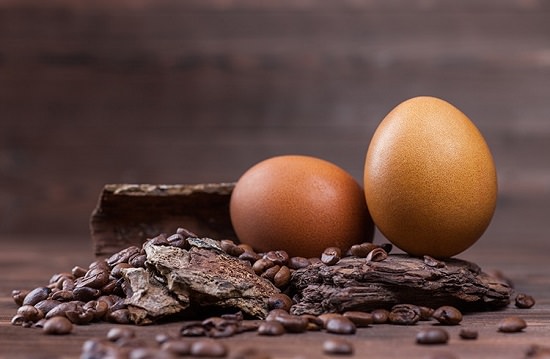 Coffee and Egg Mask for Hair 1