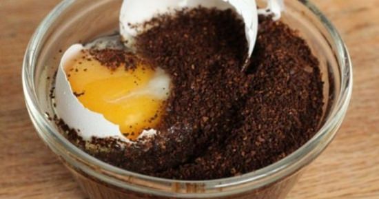 Coffee and Egg Mask for Hair3