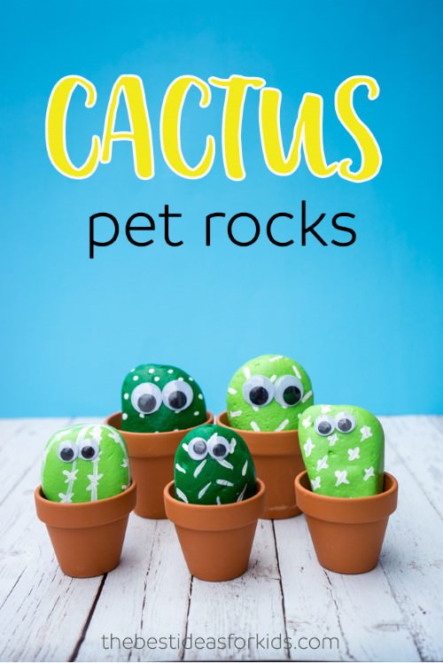 Pet Cactus Painted Rocks