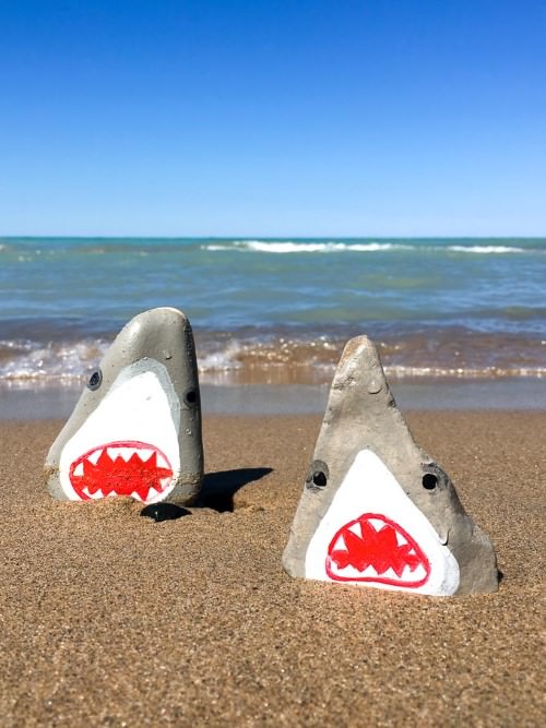 Painted Rock Sharks