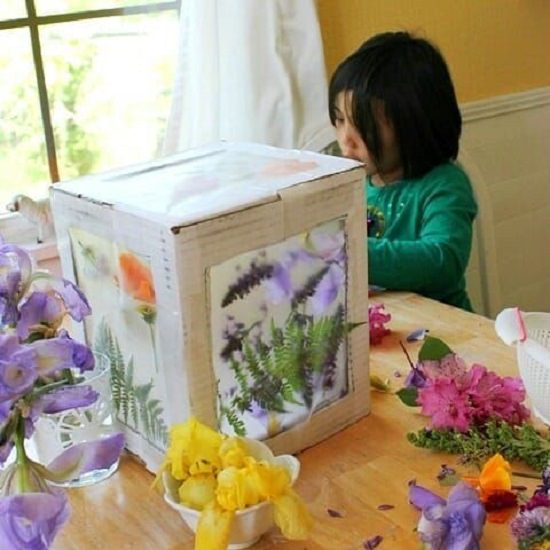 Cardboard Suncatcher