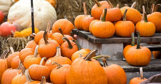 Tips for Eco Friendly Halloween Decor2