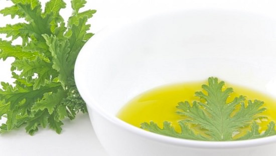 Essential Oils to Get Rid of Fruit Flies4