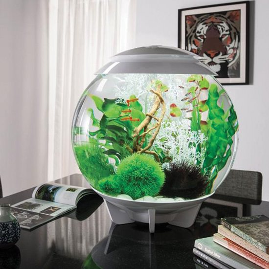 DIY Aquatic Table Centerpiece Ideas1