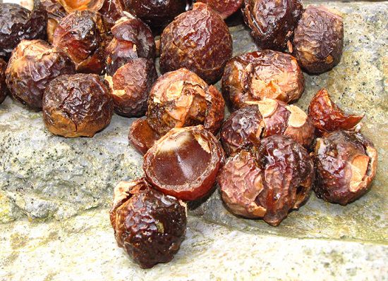 Are Soap Nuts Safe for Cloth Diapers3