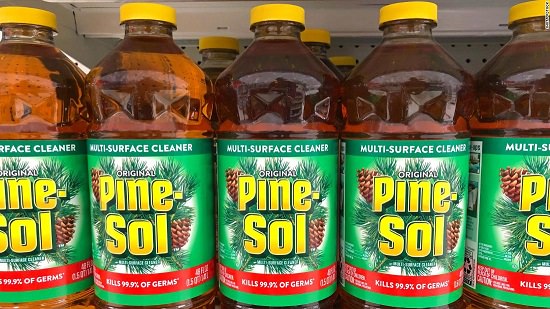 Does Pine Sol Kill Bed Bugs2