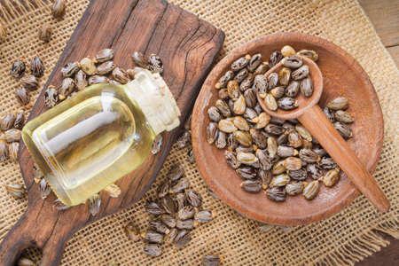 How Castor Oil is Beneficial for Dogs' Skin | Castor Oil for Dogs