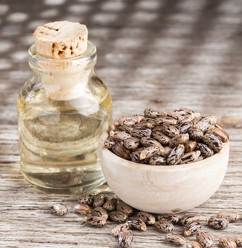 Is Castor Oil Safe for Cats