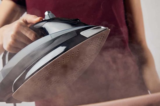 Can You Use a Steam Iron to Kill Bed Bugs2