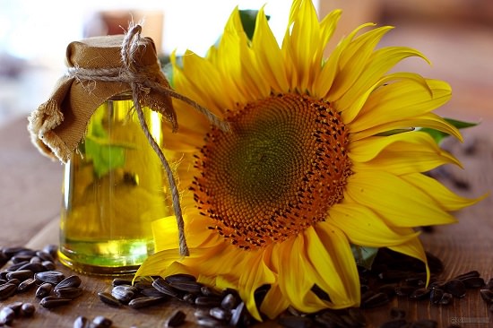 Does Sunflower Oil Clogs Pores1