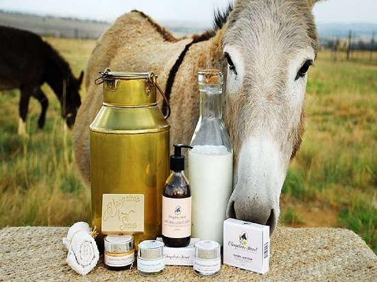 Donkey Milk Soap Benefits1