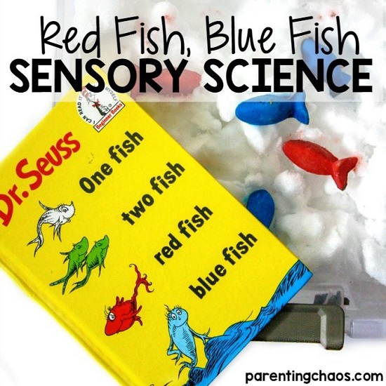 Dr Suess Red Fish Blue Fish Bin