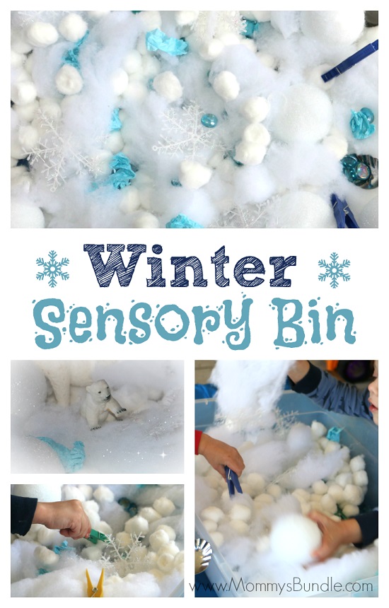 Easy Winter Sensory Bin