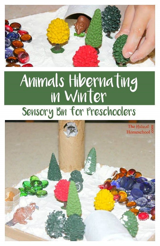Winter Sensory Activities For Preschoolers17