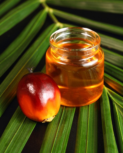 Red Palm Oil Benefits for Skin 1