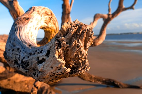 How To Bleach Wood To Look Like Driftwood1