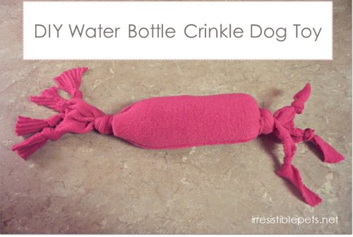 Water Bottle Crinkle Toy
