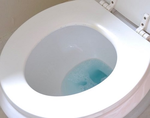 How to Unclog a Toilet with Dishwashing Liquid