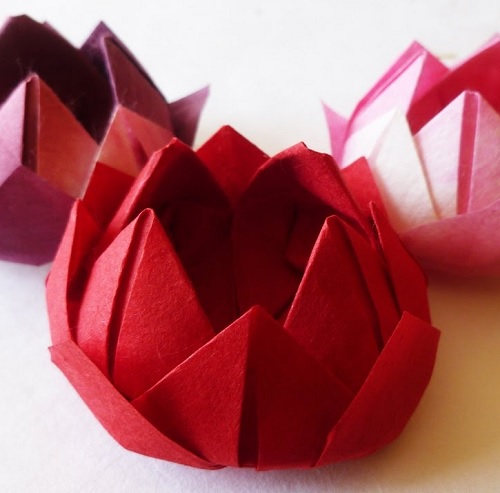 Japanese Traditional Origami WATER LILY
