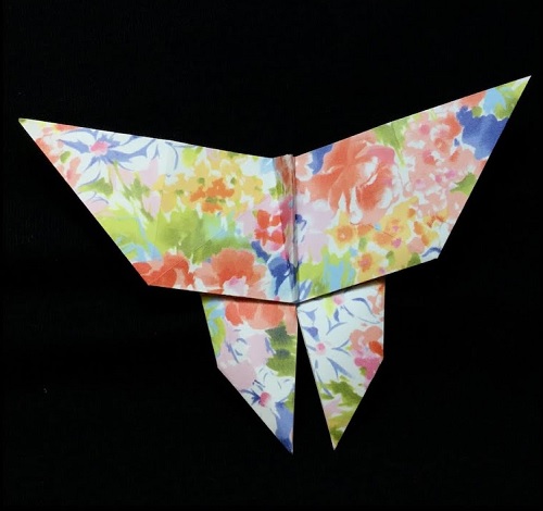 Traditional Origami Butterfly Tutorial