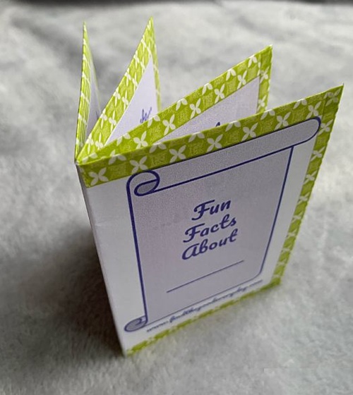 Creating a Mini-Book Using 1 Sheet Of Paper