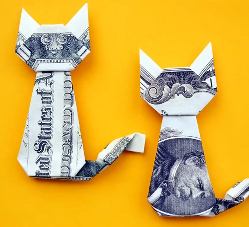 money folded cats