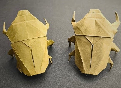 fold a paper beetle