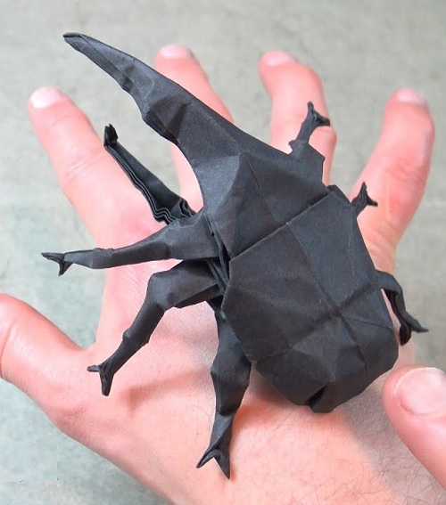 Hercules Beetle