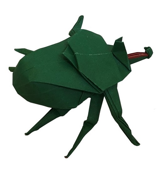 Origami Beetle