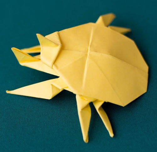 Paper origami insects